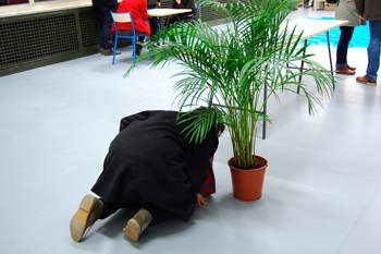 Infra jungle, Juliette Goiffon et Charles Beauté, 2012, © Les commissaires anonymes